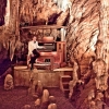 paul-with-the-organ-2a