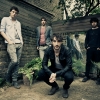 the-coronas-010