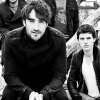 the-coronas-024